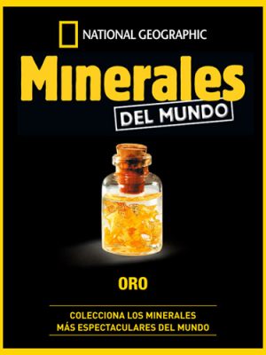 Entrega 1: Oro, fascículo y fichas