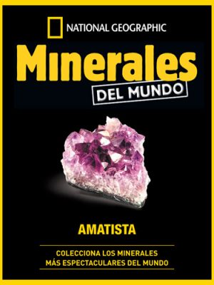 Entrega 4: Amatista, fascículo y fichas